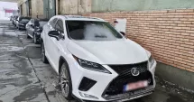 Stire din Eveniment : Autoturism căutat de autoritățile canadiene, descoperit în Portul Constanța