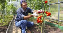 Stire din Social : „Prima butelie în seră”. Cum vrea să-i ajute ministrul Agriculturii pe fermieri să cultive legume tot anul