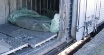 Stire din Actualitate : Imaginile războiului: Cadavrele militarilor ruși, strânse și îngropate de ucraineni