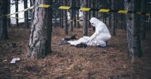 Stire din Eveniment : A fost schimbată încadrarea juridică în cazul cadavrului găsit în pădure, la Bragadiru