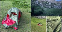 Stire din Eveniment : Un câine și-a salvat familia aflată în vacanță la munte. A alungat ursul care dădea târcoale cortului