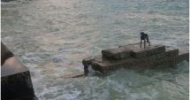 Stire din Actualitate : Un câine, rămas blocat pe o plajă, a fost salvat de Garda de Coastă, în East Sussex