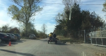 Stire din Social : Constanța anului 2017. Câini, căruțe și indivizi dubioși pe maidane pline de gunoaie