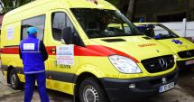 Stire din Social : De astăzi, începe capturarea câinilor fără stăpân din municipiul Constanța!