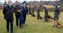Stire din Eveniment : Câinii polițiști, antrenați să miroasă COVID-19!