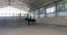 Stire din Social : Un abonament de 11 ședințe la Echitație (CMSN Constanța) costă 800 de lei