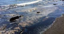 Stire din Actualitate : VIDEO. Stare de urgență în Santa Barbara, după cea mai mare deversare de petrol din ultimii 20 de ani