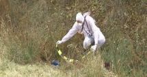 Stire din Actualitate : Florentina, tânăra găsită fără suflare pe un câmp cu urme de violență pe corp