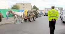 Stire din Eveniment : VIDEO. CIRC ȘI RĂZBUNARE, LA CONSTANȚA! Căruțaș încătușat, atelajul său - făcut zob de un grup de 15 persoane