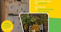 Stire din Politică-Administrație : Campanie de colectare a deșeurilor electrice și electronice în comuna Mihail Kogălniceanu