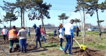 Stire din Social : Se amână activitatea de plantare din week-end, de la Peștera