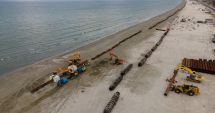Stire din Social : Câmpii marine pe litoral, plantate în largul  Mării Negre