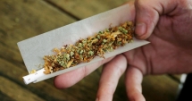 Stire din Eveniment : Tânăr din București, prins cu cannabis la Mamaia