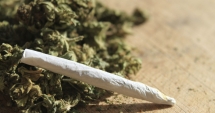Stire din Eveniment : "Canabisul nu este drog,  e doar o plantă". Ce spune șeful Centrului Antidrog Constanța