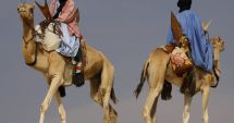 Stire din Fun : Comandantul și cămila
