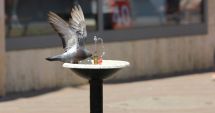 Stire din Social : Caniculă și disconfort termic, la Constanța