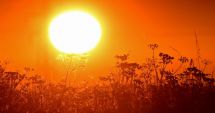 Stire din Social : Cod galben de caniculă în Constanța și 22 de județe. Vor fi până la 37 de grade Celsius