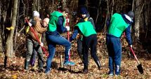 Stire din Sport : Canotorii din lotul olimpic al României au plantat aproximativ 1.000 de puieţi într-o nouă campanie de împădurire