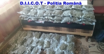 Stire din Eveniment : Cantități impresionante de droguri,  depistate de polițiști