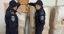 Stire din Eveniment : Captură uriașă. Peste o tonă de tutun ilegal, descoperită într-o autoutilitară din Bulgaria