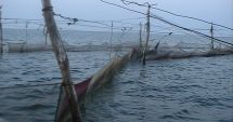 Stire din Economie : Captură de scule de pescuit ilegale, la Dunăre
