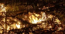 Stire din Eveniment : Incendiu devastator în Franța. Pădurea Fontainebleau arde, iar autoritățile sunt în alertă maximă