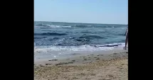 Stire din Social : Panică în Mamaia Nord. Apa mării a devenit suspectă, iar turiștii au sunat la 112