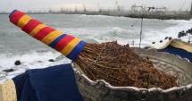 Stire din Cultură-Educație : Care este puterea apelor sfințite