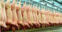 Stire din Economie : Suspiciuni de practici incorecte în comerțul cu carne de porc. Ministrul Agriculturii cere controale