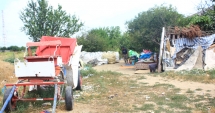 Stire din Social : Șatra din inima Constanței! Terorizați de mai multe familii de romi