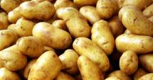 Stire din Tehnologie : NASA vrea să cultive cartofi pe Marte