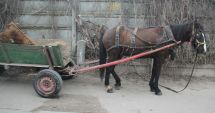 Stire din Eveniment : Căruță încărcată cu fier vechi, confiscată de Poliția Locală