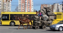 Stire din Eveniment : Ai văzut căruțe pe străzile Constanței? Sună la Poliția Locală!