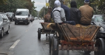 Stire din Eveniment : CASCO la cal și RCA la șaretă? Căruțele vor fi obligate să aibă asigurare