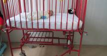 Stire din Sănătate : Cât de grave sunt problemele secției de pediatrie: pacienți cu carul și medici lipsă!