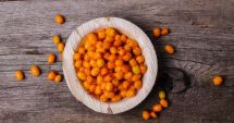 Stire din Sănătate : Cătina, remediu natural antiinflamator şi antibacterian