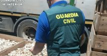 Stire din Actualitate : Ce mai fură românii! Prejudiciul se ridică la 600.000 de euro