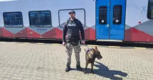Stire din Eveniment : Poliția a descins în zona gării din Constanța. Acțiune pentru siguranța călătorilor