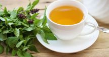 Ceaiul de busuioc este ideal în lupta împotriva bolilor inflamatoare