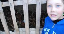 Stire din Social : Ce ajutor au primit două familii, din Constanța, în prag de sărbători