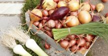 Stire din Sănătate : Consumul de ceapă crudă poate sprijini circulația sângelui