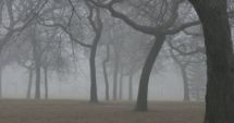 Stire din Social : CONSTANȚA ESTE SUB COD GALBEN! Ce spun meteorologii