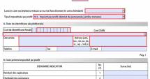 Stire din Economie : Ce declarații fiscale trebuie depuse până la 25 februarie