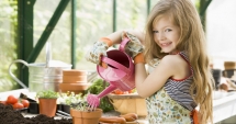 Stire din Diverse : Cele mai utile sfaturi, de la cei mai buni grădinari