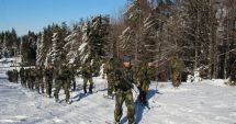 Stire din Eveniment : Cercetașii, la exercițiul "Transylvanian Dragons 20"