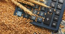 Stire din Social : Primul exportator mondial de grâu își va suspenda exporturile până la 1 iulie