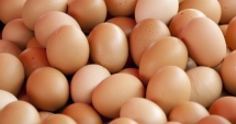 Ministrul Agriculturii dezvăluie motivul pentru care prețul ouălor s-a dublat în ultimele zile
