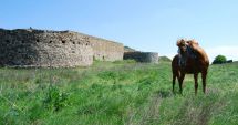 Stire din Cultură-Educație : O cetate uitată în timp, Dinogeţia