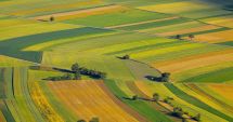 Stire din Economie : Cetăţenii străini deţin peste 1.000 de hectare de pământ în judeţul Constanţa
