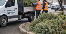 Stire din Politică-Administrație : Primăria Năvodari colectează brazii de Crăciun de la ușa cetățenilor
